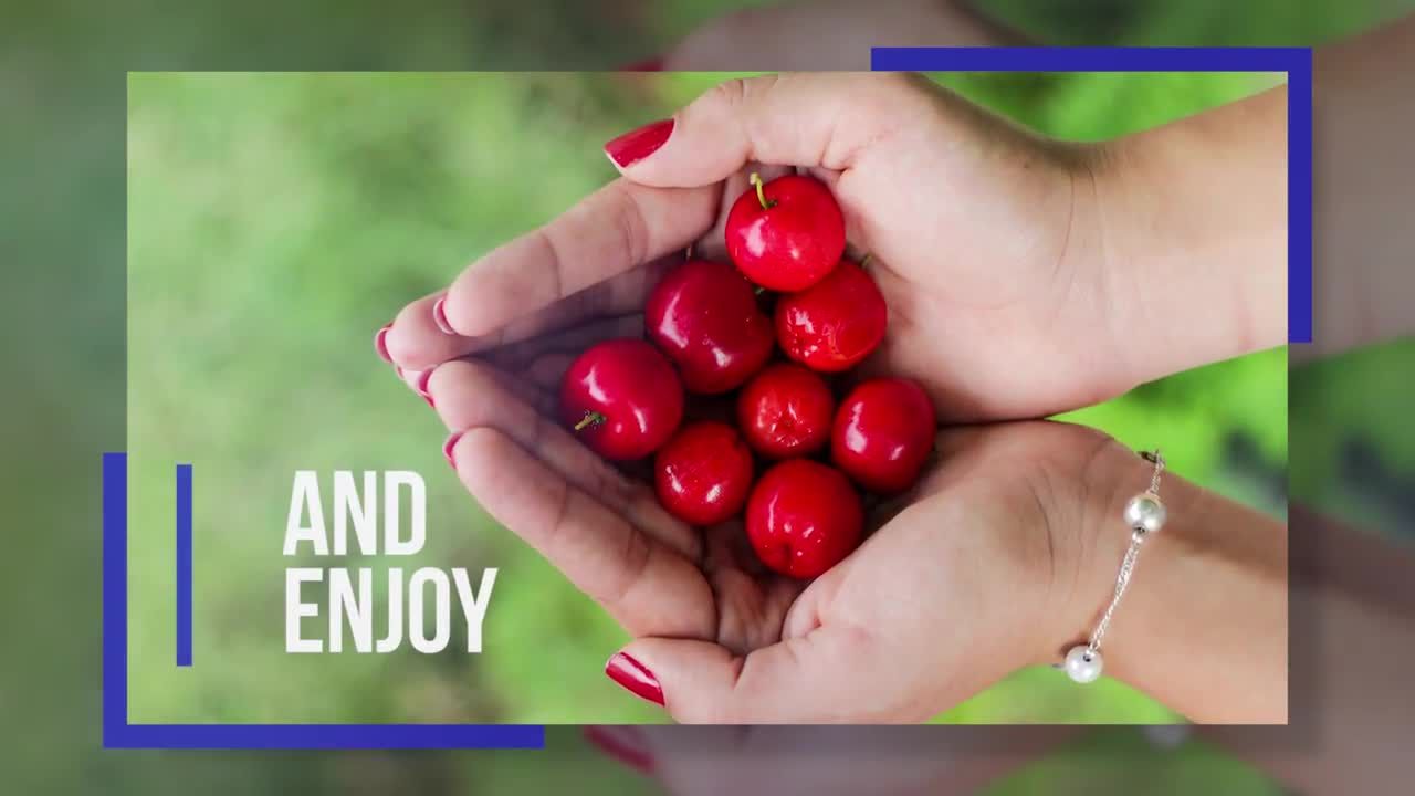 简约的企业介绍活动素材库精选pr模板