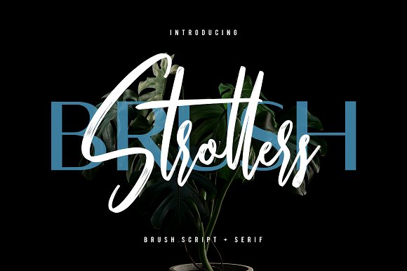 Strollers Font素材之家精选英文字体