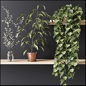 现代藤曼植物素材之家精选3D模型