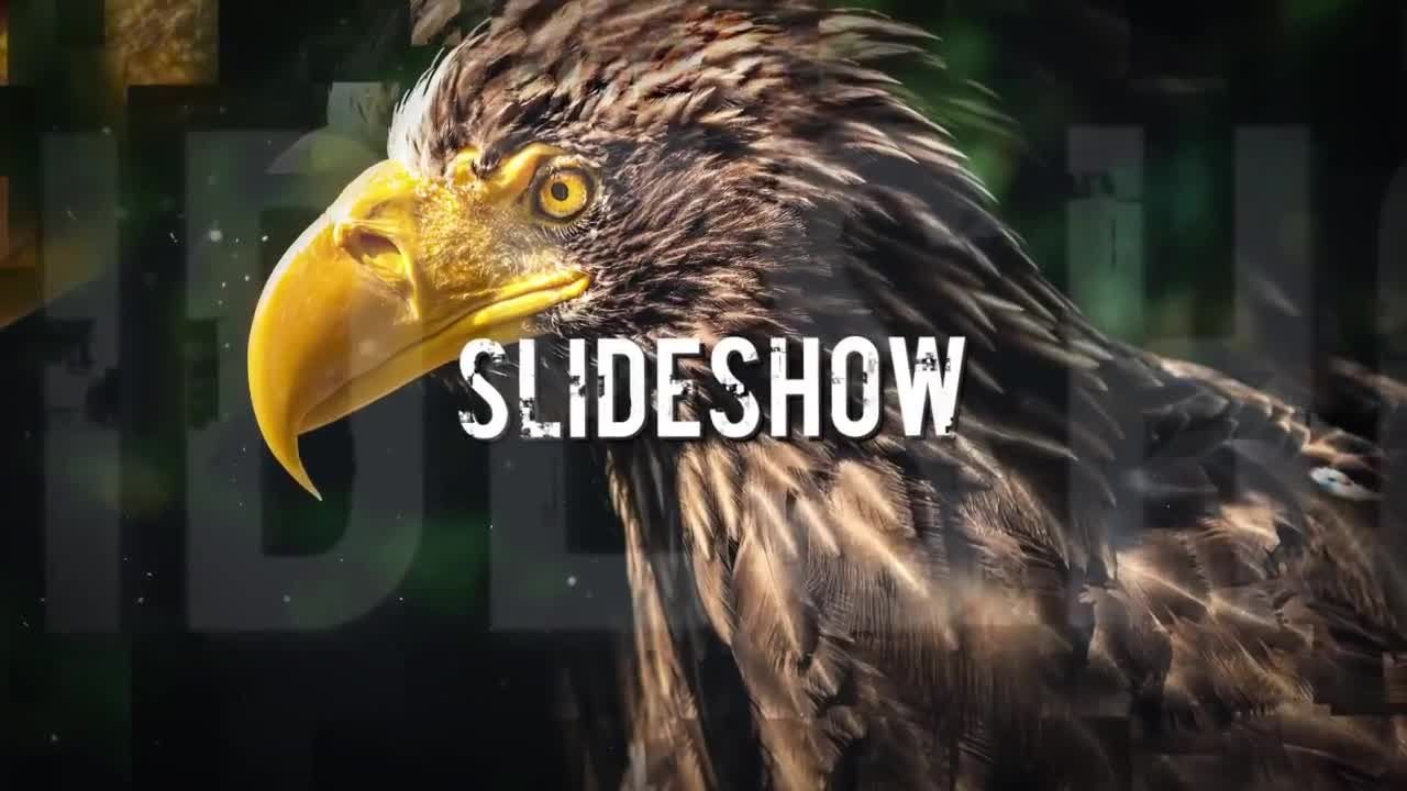 华丽的照片幻灯片展示素材库精选AE模板