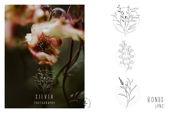 Rome | Font + Bonus插图5