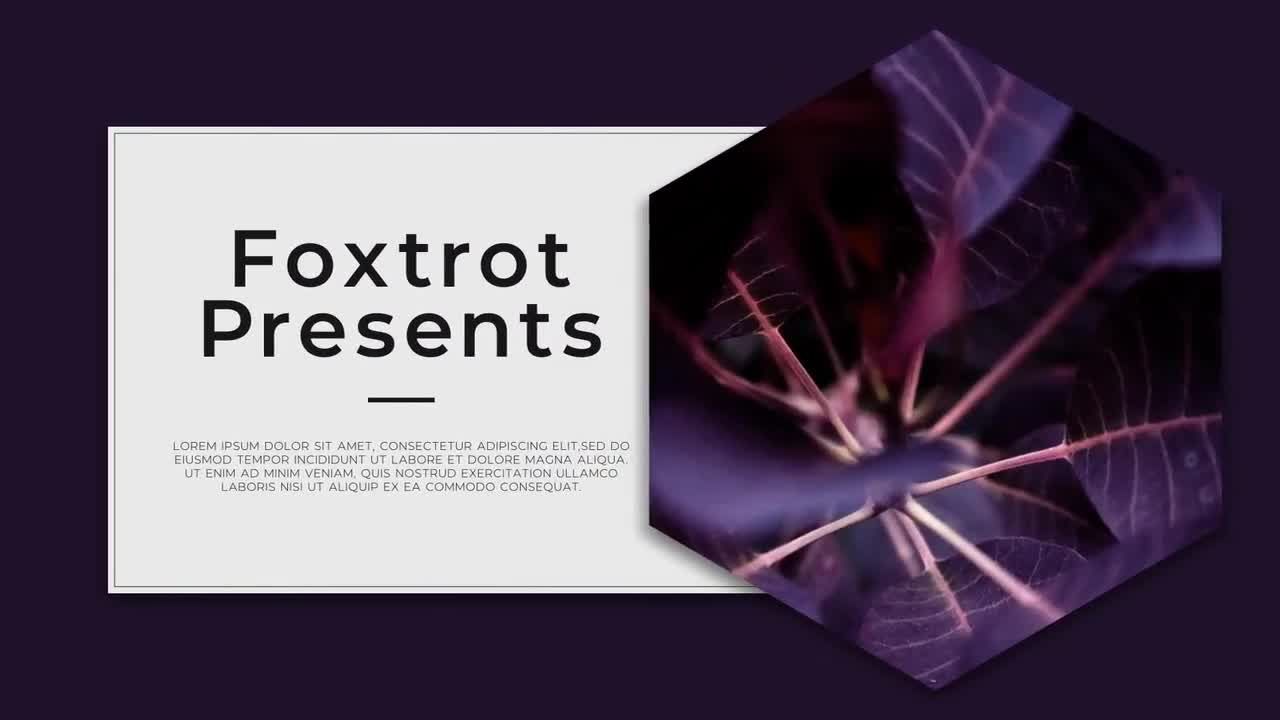 精美专业的幻灯片过渡效果素材库精选AE模板