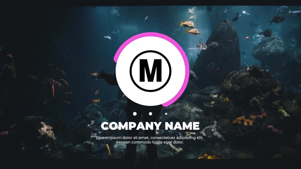 带有流畅动画效果的Logo展示素材库精选pr模板素材