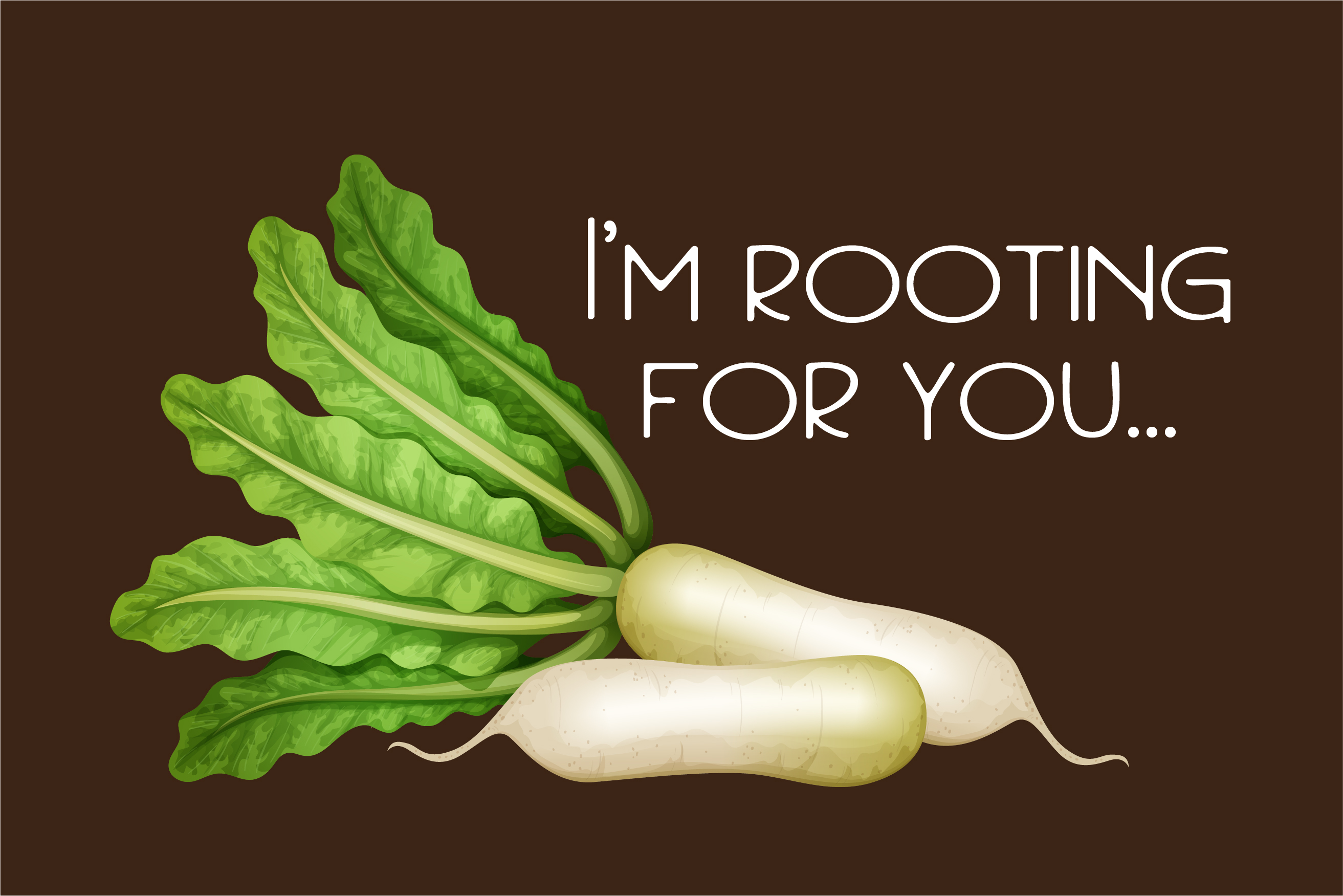 ZP ParsnipityRegular Font插图3