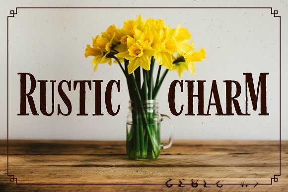 Farmhand Regular Font插图4