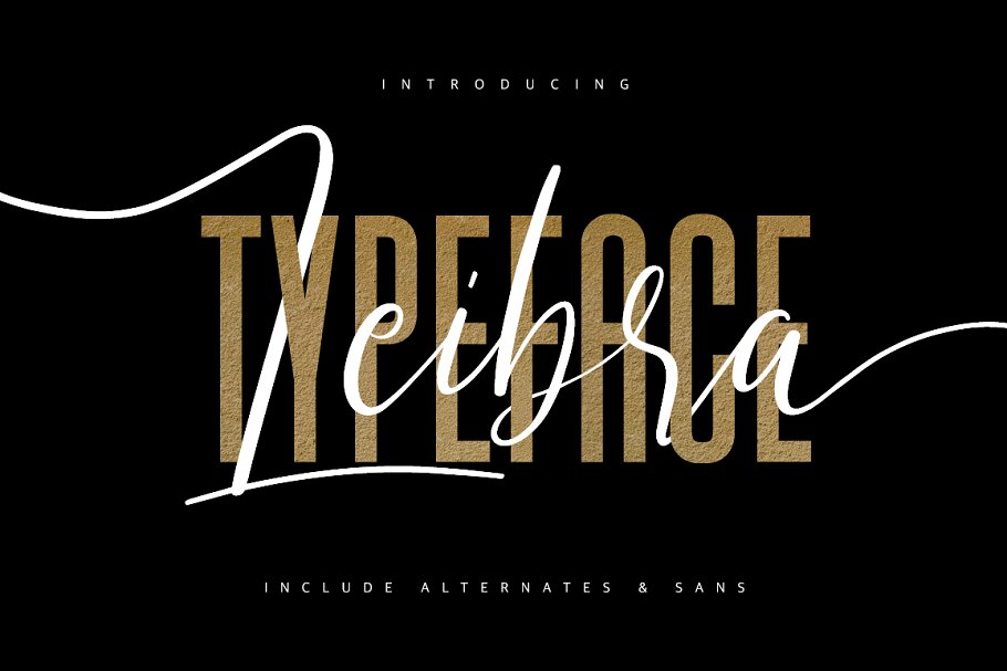 Leibra Typeface Font插图