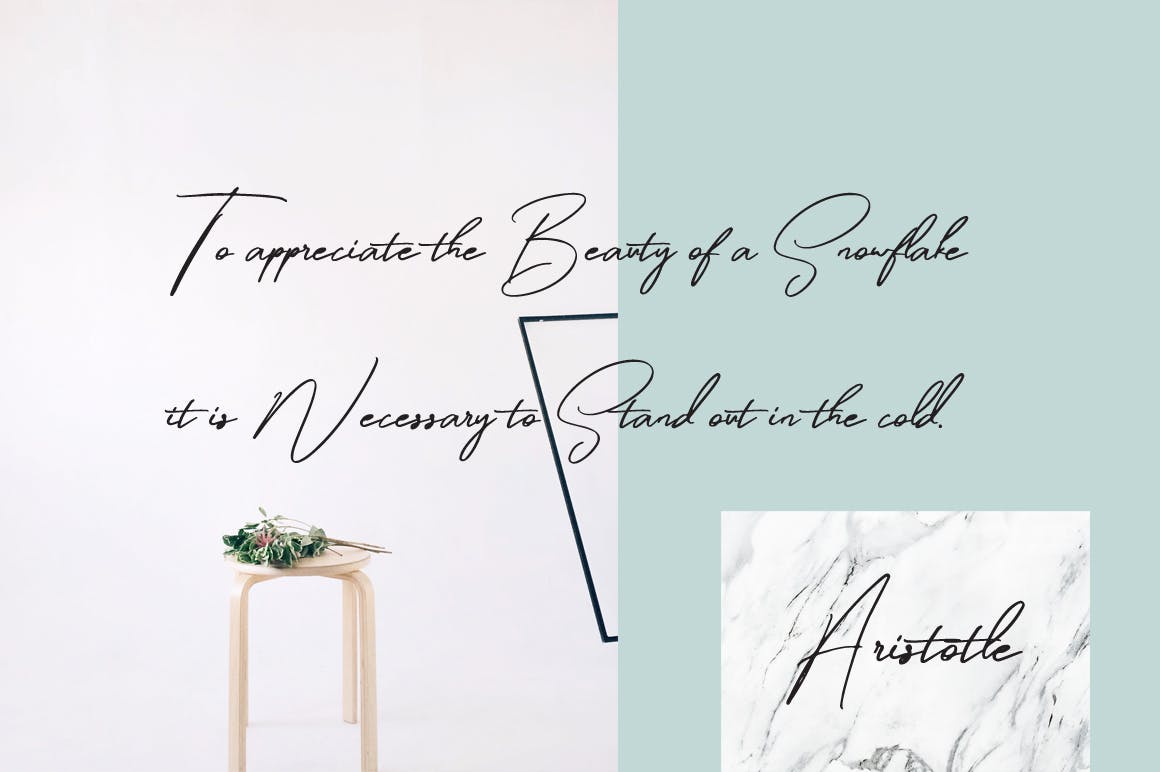 钢笔手写英文书法字体 Winterfellia – Handwritten Font插图(6)