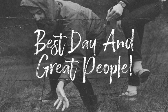 Brestonk Brush Font插图1