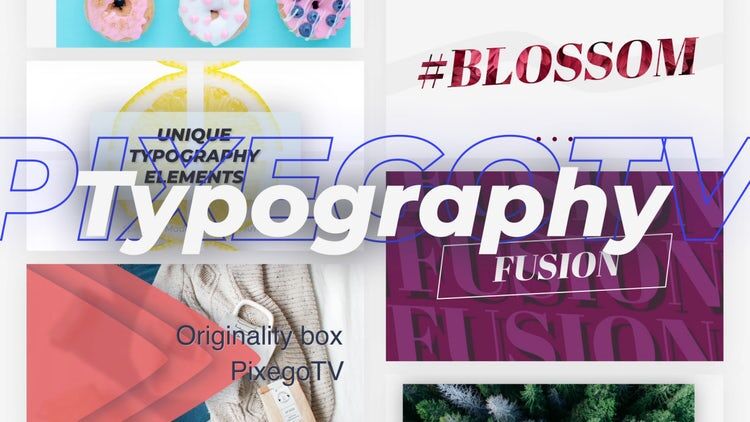 现代并具有创造性的动画素材库精选AE模板