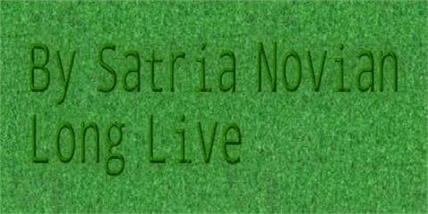 Long Live font素材之家精选英文字体