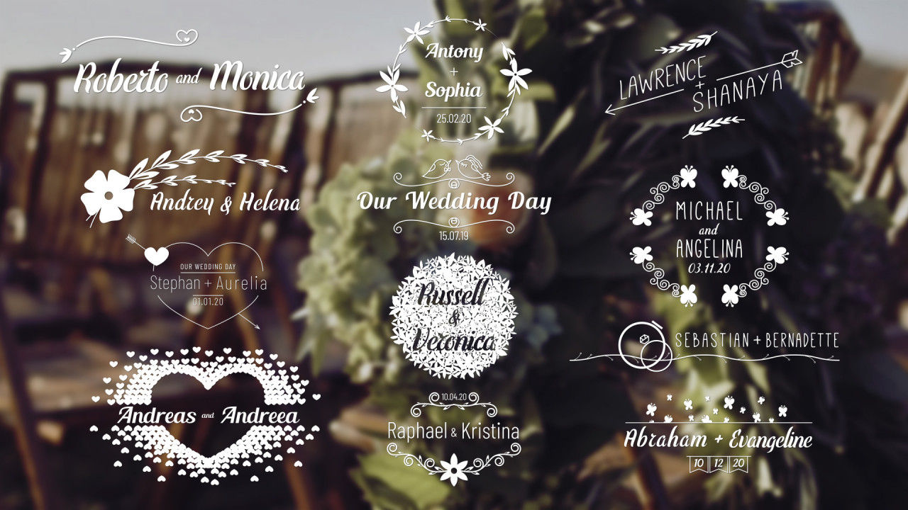 现代时尚的婚礼和动态文字标题素材库精选pr模板