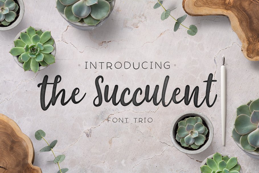 The succulent – font trio素材之家精选英文字体