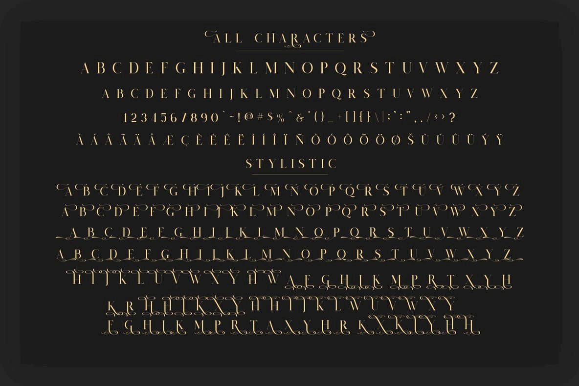 Salvalyn Font插图3