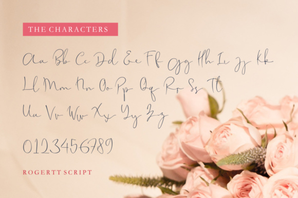 Rogertt Font插图5