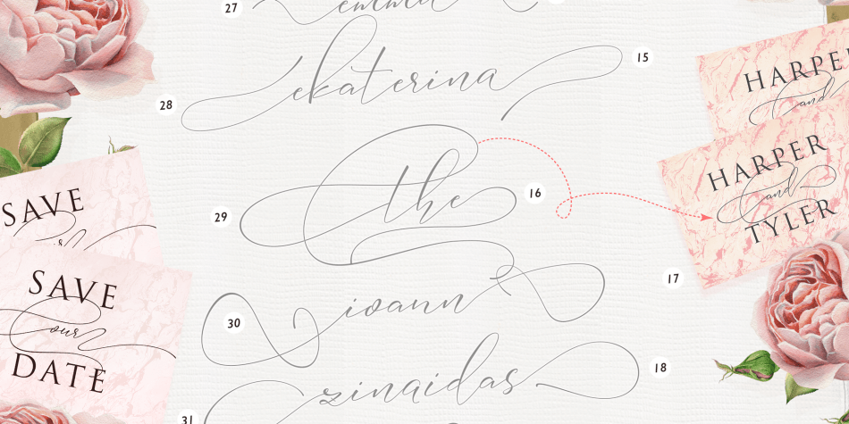 Sophia Font Family插图4