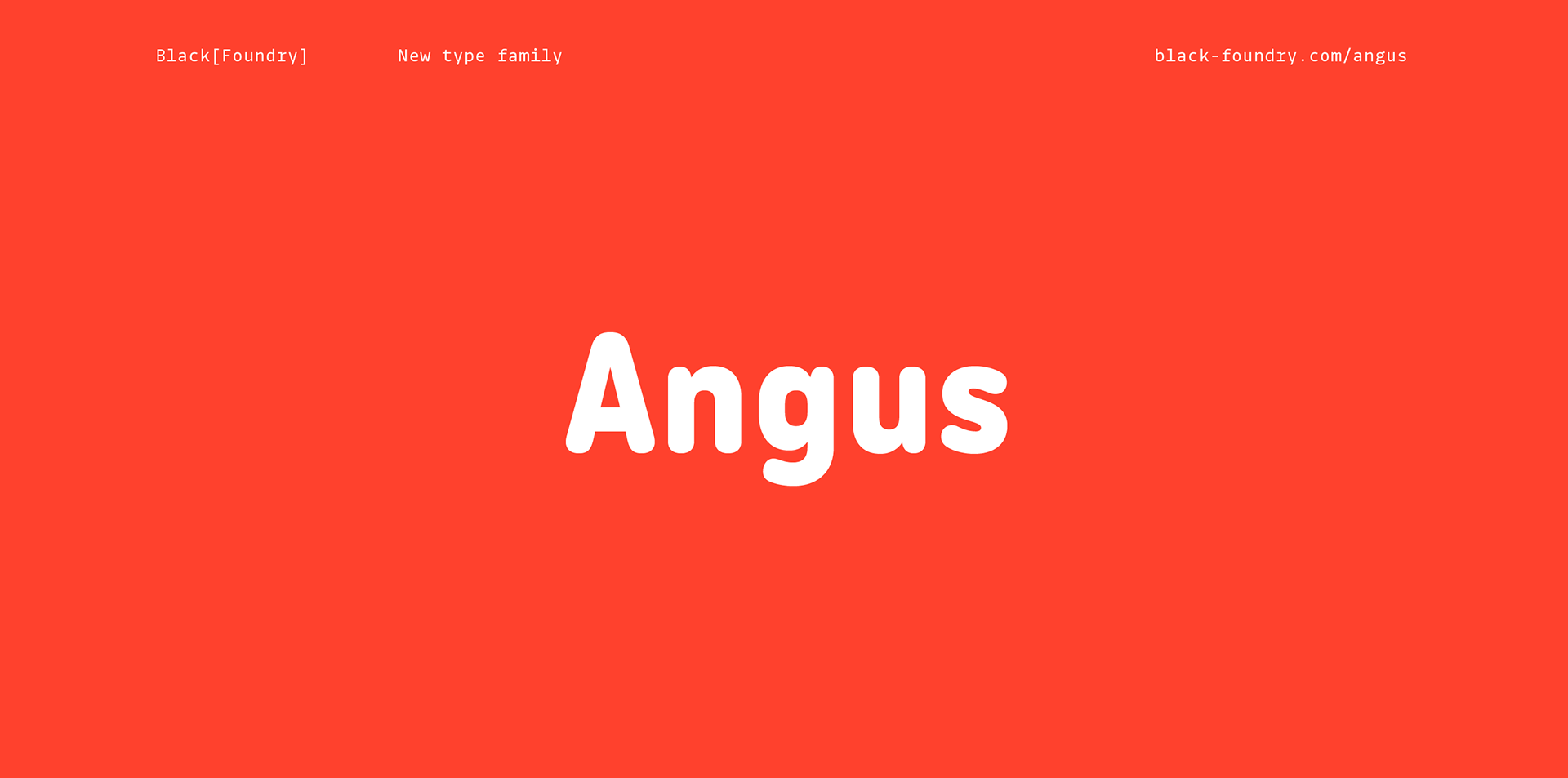Angus Font Family插图