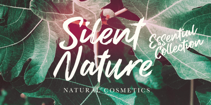 Brush Marker Font插图4