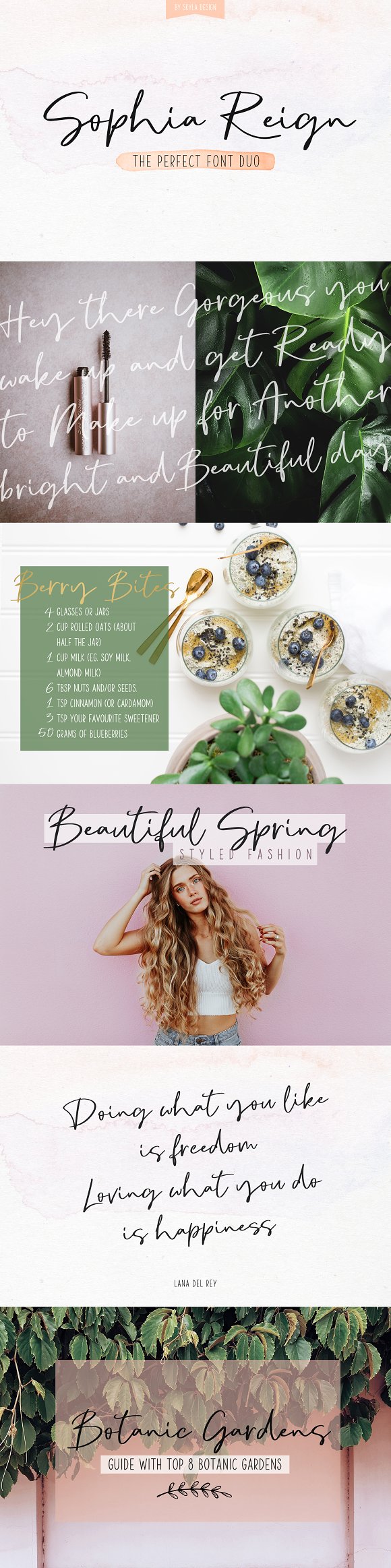 Signature font duo Sophia Reign插图1