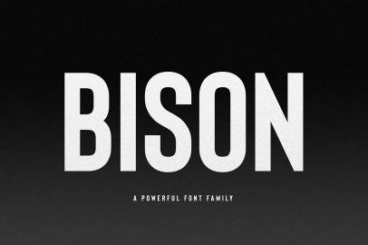 Bison Font Family素材之家精选英文字体