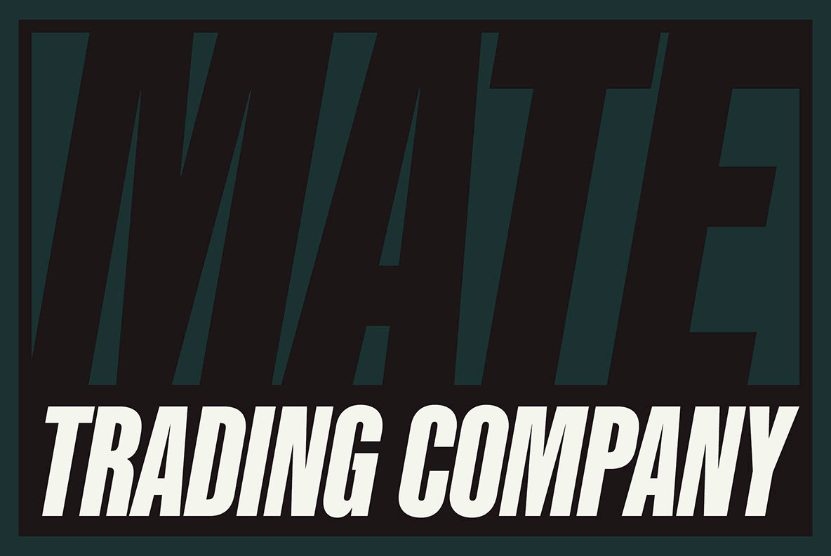 Kaneda Gothic Font Family插图1