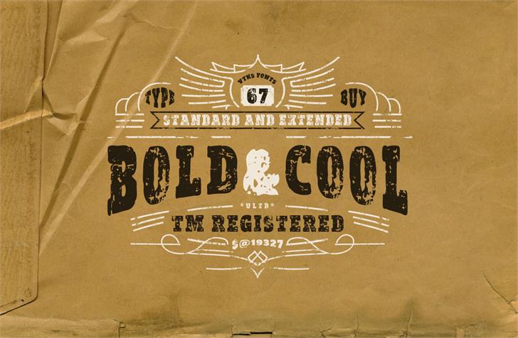 vtks Bold&Cool font插图