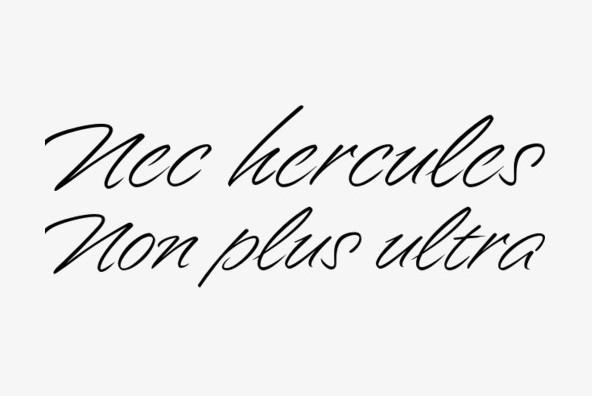 Enchanted Font插图1