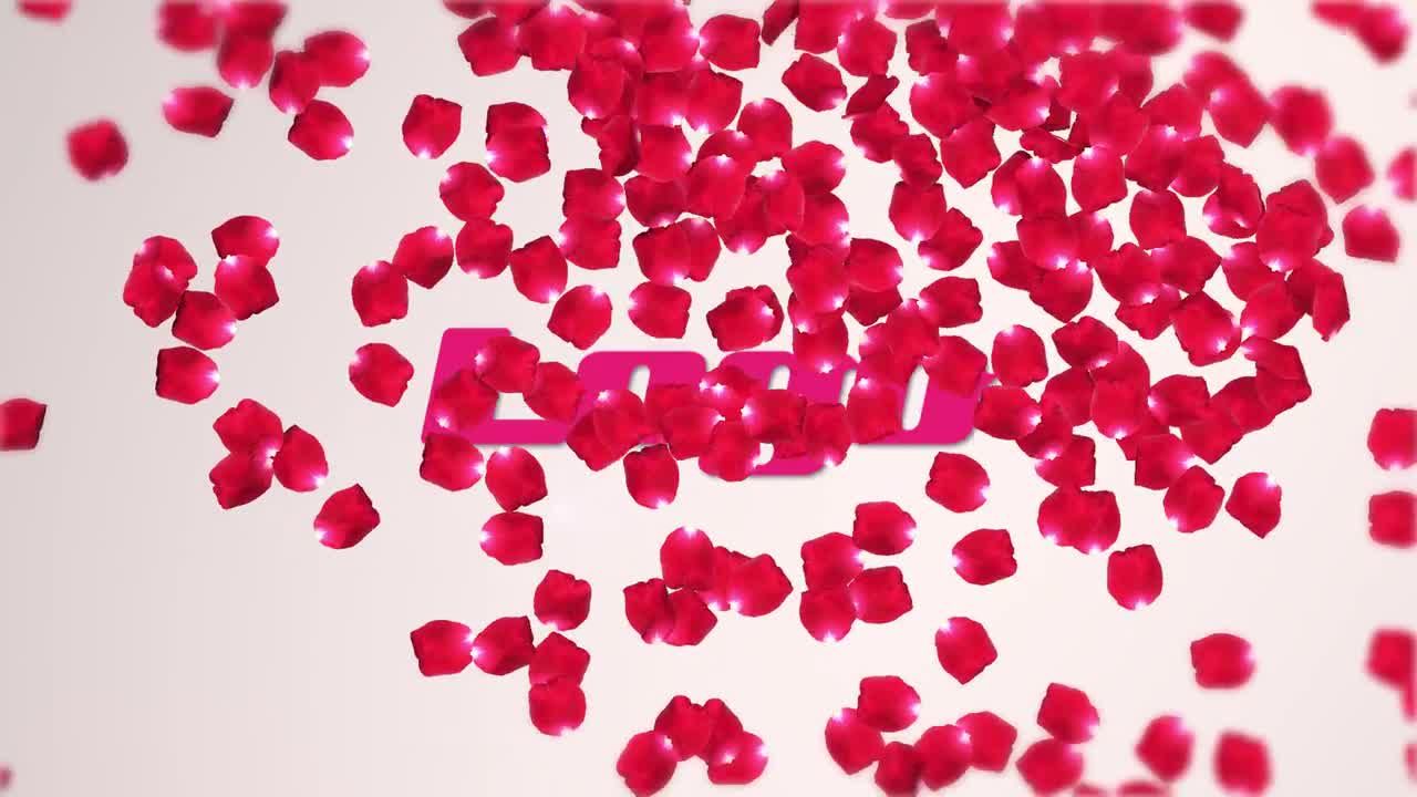 浪漫玫瑰花瓣logo动画素材库推荐PR模板