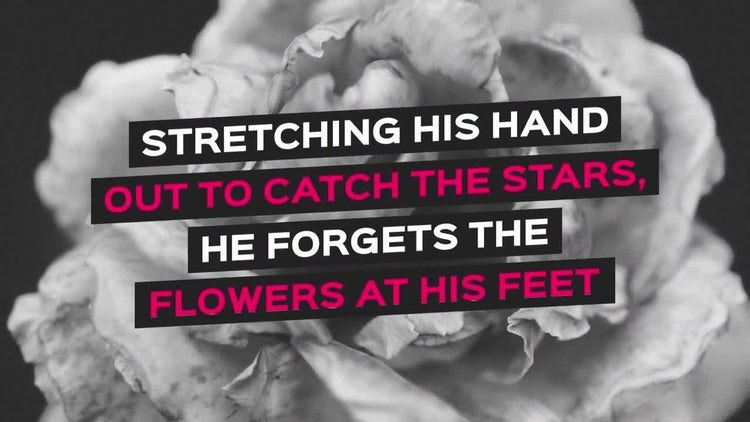 15个全屏标题动画素材库精选AE模板素材