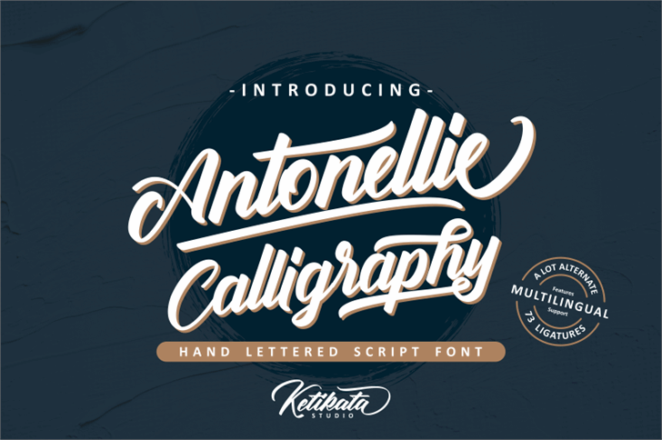 Antonellie Calligraphy Demo font插图 Antonellie Calligraphy Demo font插图