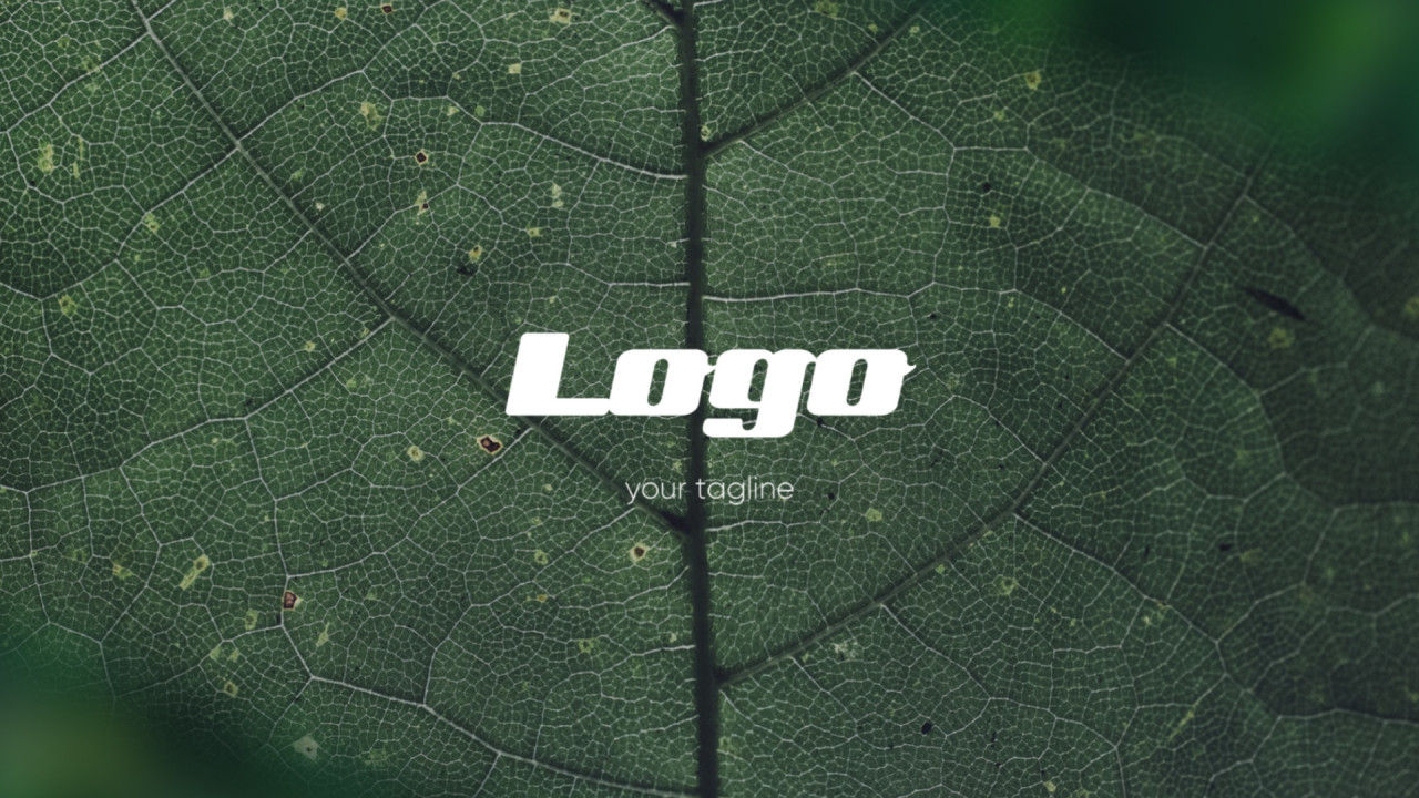 简洁动态的照片徽标展示素材库推荐Pr模板