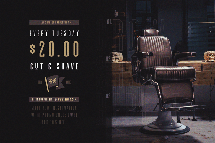 Alvaro Condensed font插图3