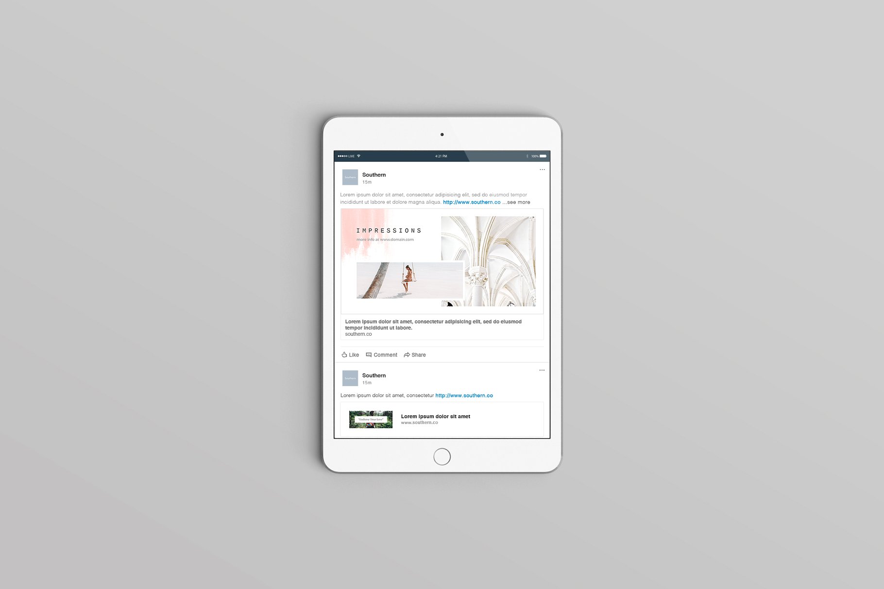 淡雅社交媒体贴图模板素材库精选 Lisbon Social Media Pack插图(3)