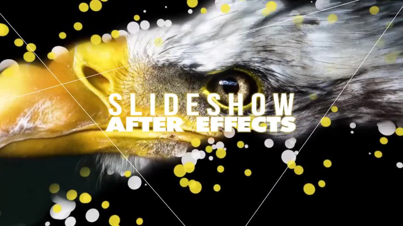 简单易用的粒子开启者素材库精选AE模板