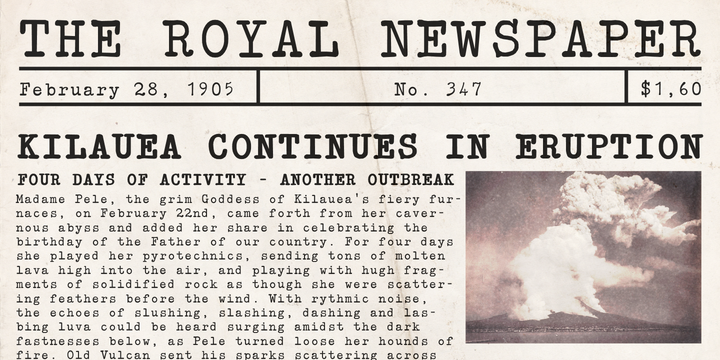 Typewriter Revo Font Family插图2