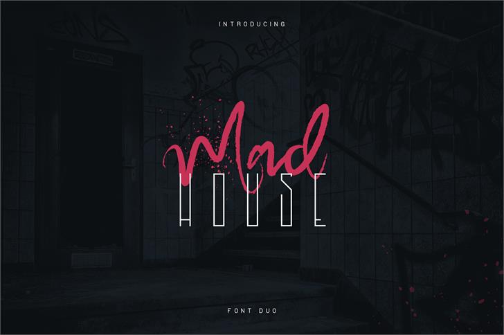 MadHouse Sanslight font插图