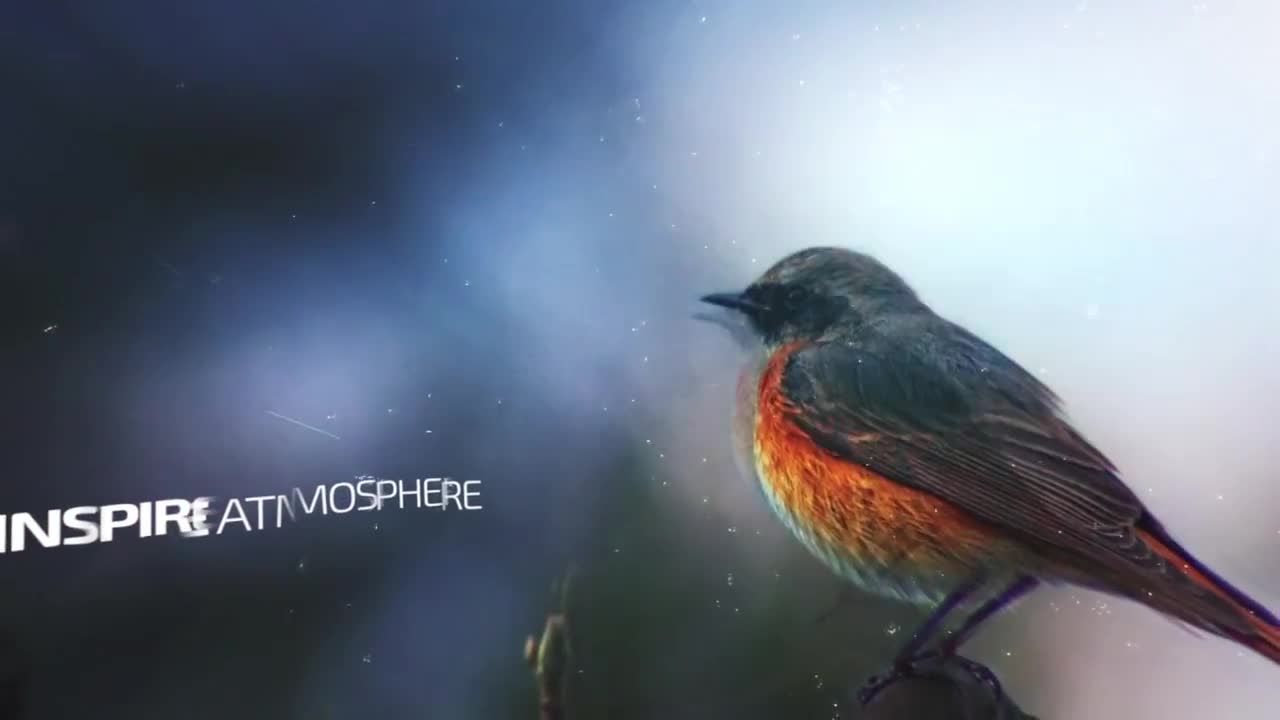 照片幻灯片演示素材库精选AE模板