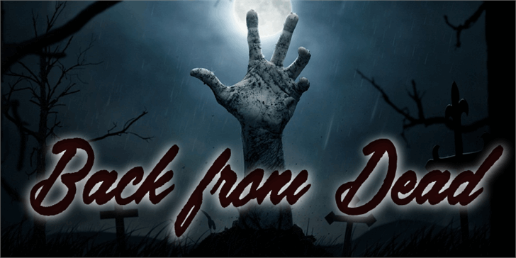 Back from the Dead font插图