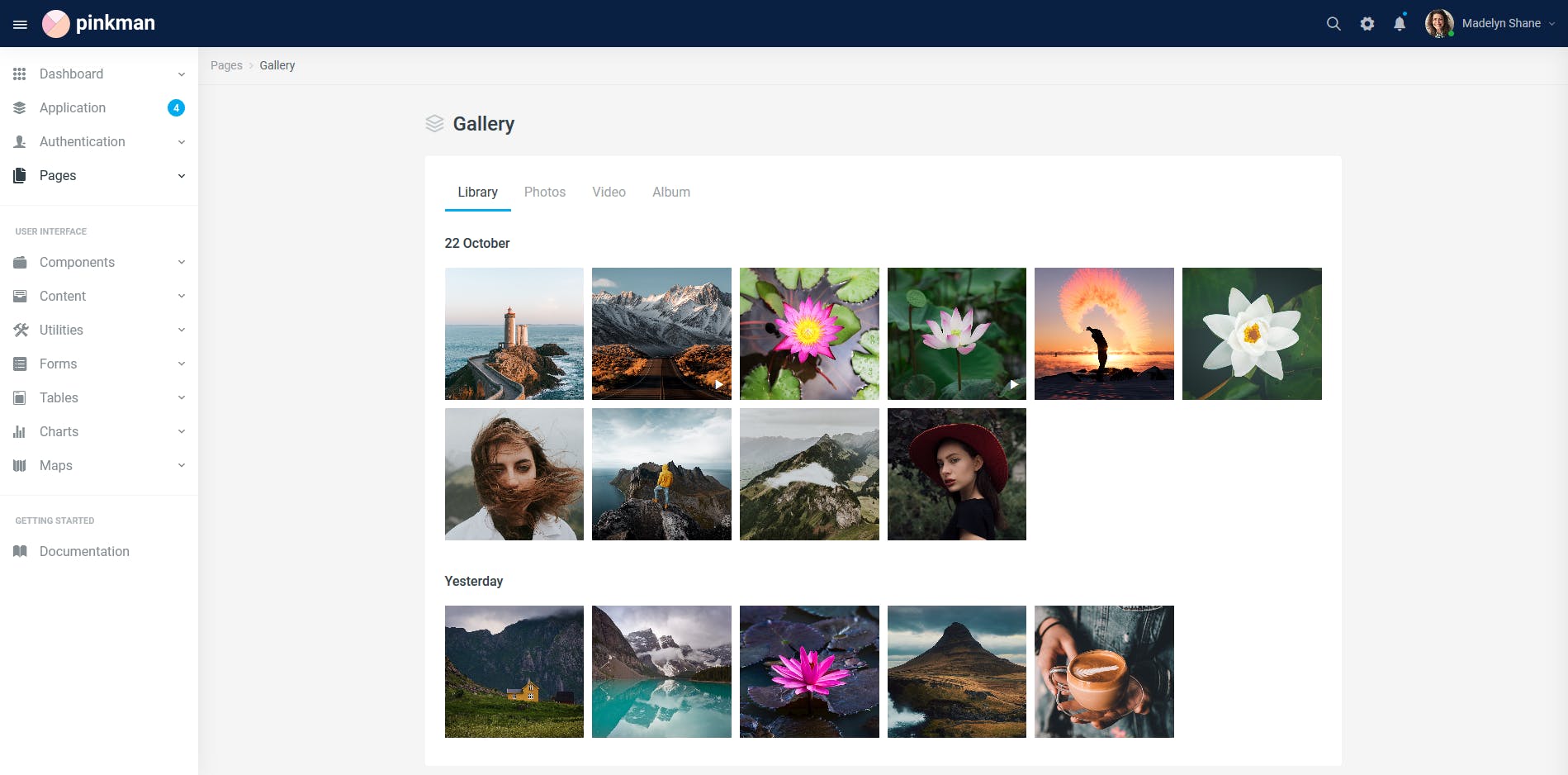 Bootstrap架构网站管理系统模板素材库精选下载 Pinkman – Bootstrap 4 Admin Dashboard Template插图(10)