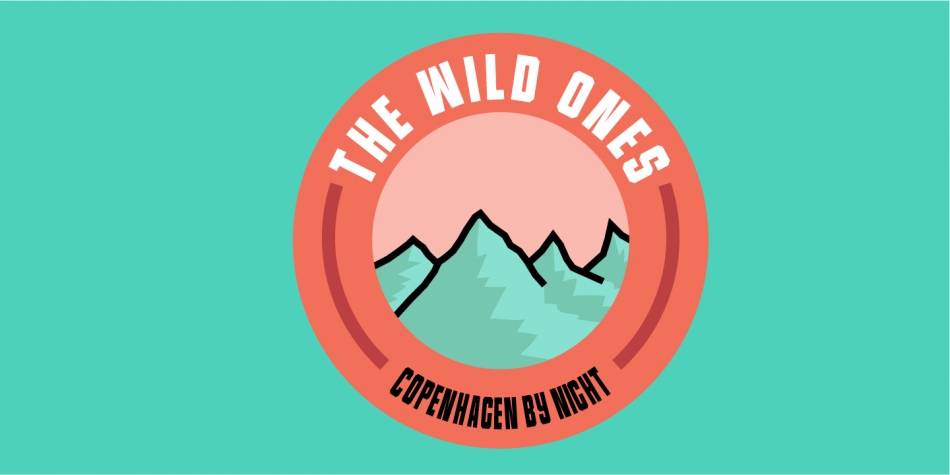 Universitet Font插图3