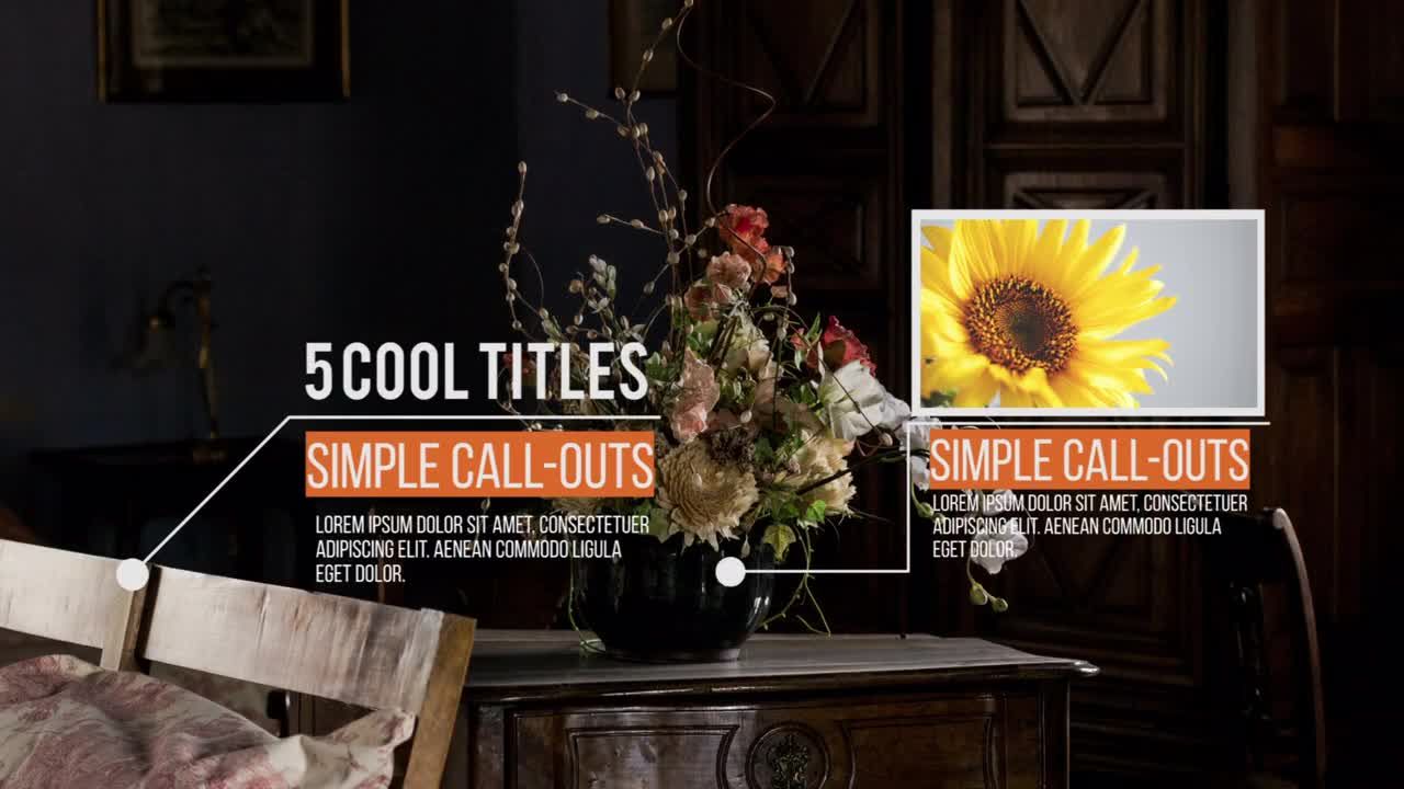 5个独特的动画标注标题宣传Pr模板