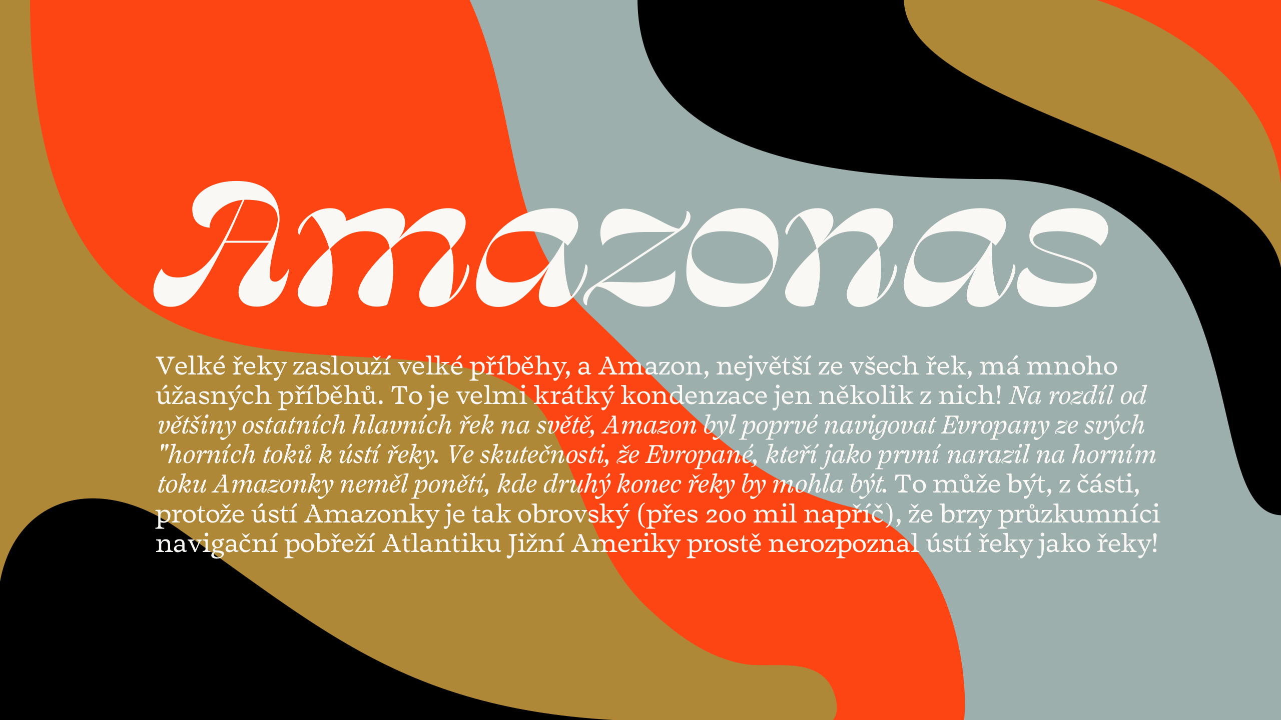 Salvaje Display Font Family插图8