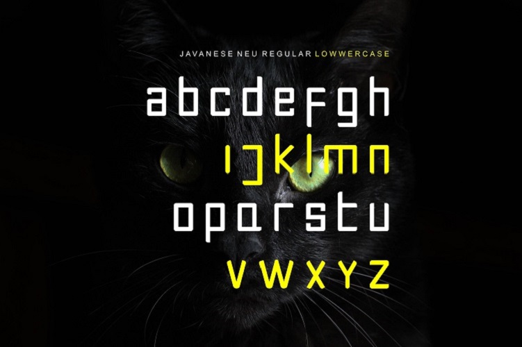 JAVANESE NEURegular Font插图2