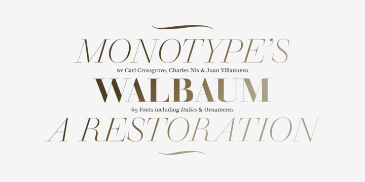 Walbaum Font Family插图