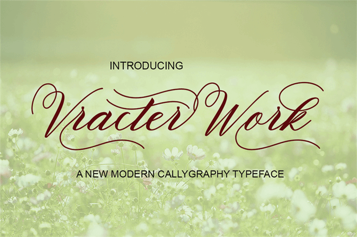 VracterWork font插图