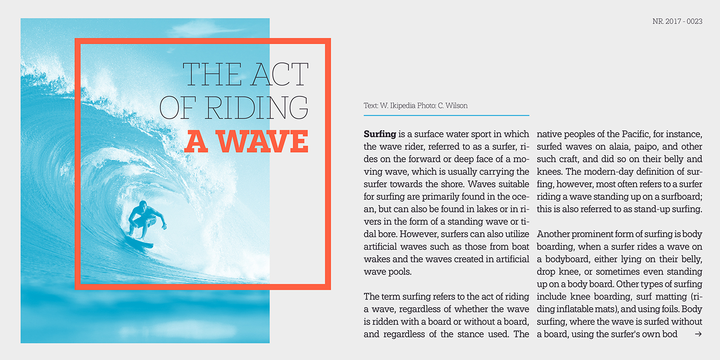 Paul Slab Font Family插图6