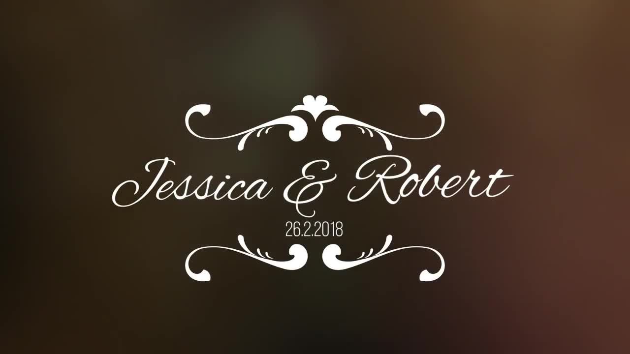 精彩的婚礼动画标题Pr模板