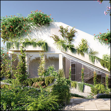 15种景观藤蔓和爬山虎花卉等植物素材之家精选3D模型