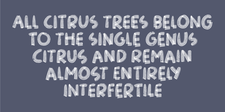 Bangebuks Font插图2