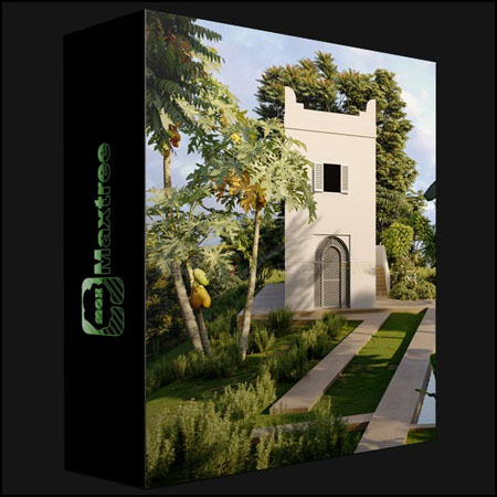 12个品种72款树木植物素材之家精选3D模型