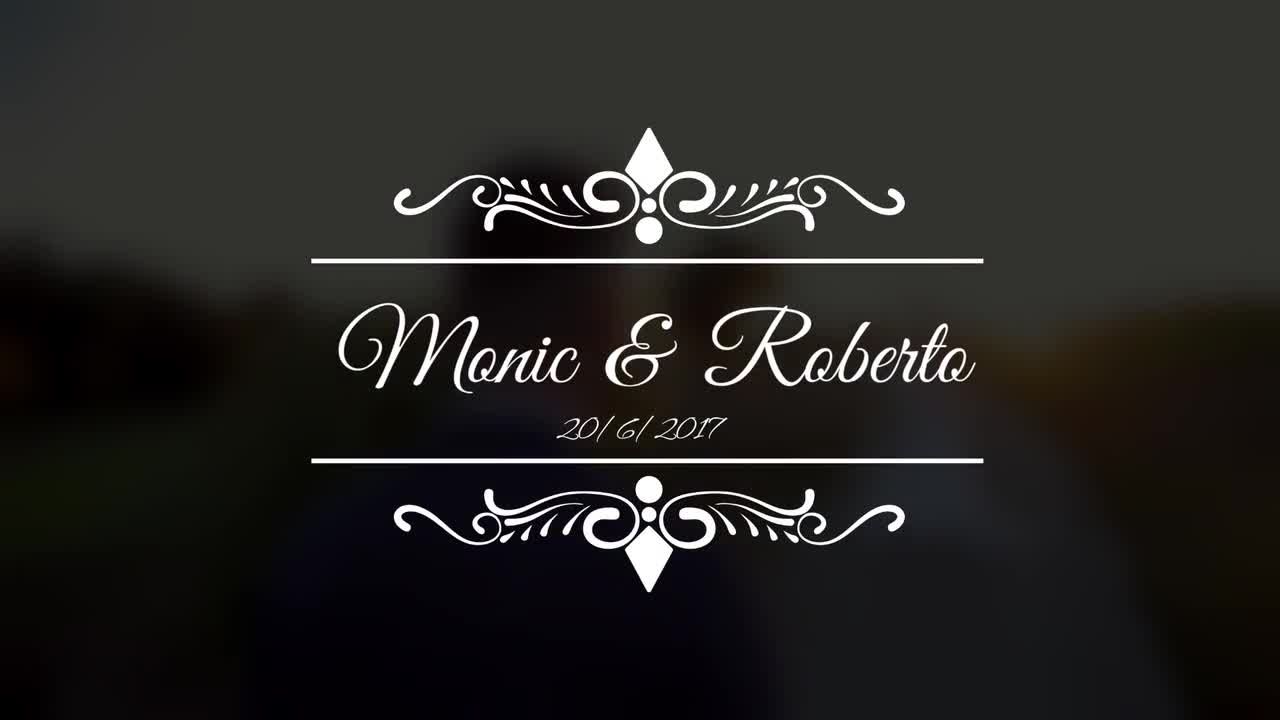 11个美观时尚的婚礼白色标题素材库推荐Pr模板